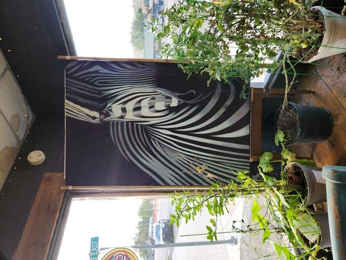 Local artist's zebra painting displayed in the window