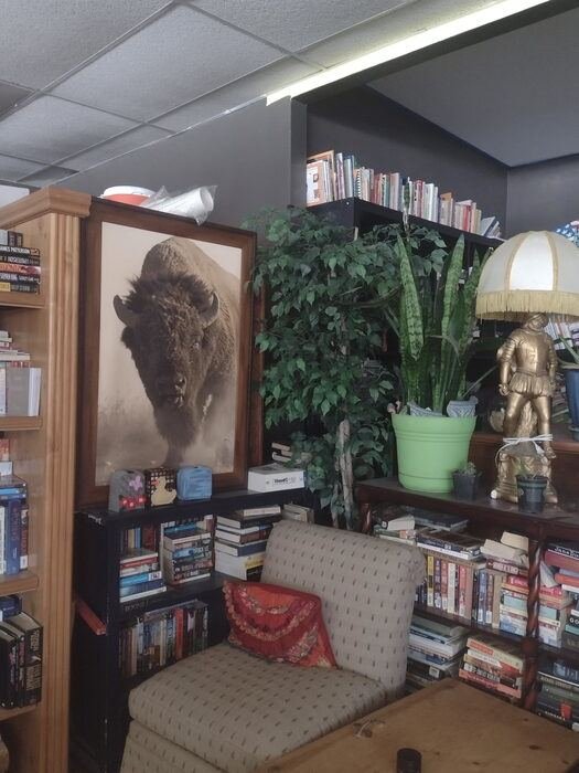 Reading nook with bookshelves at Black Sheep Coffee